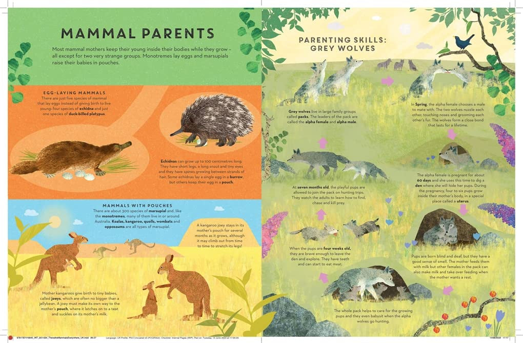 There are Mammals Everywhere