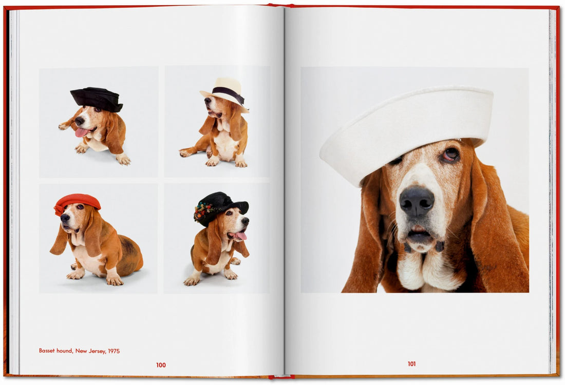 Walter Chandoha. Dogs. Photographs 1941–1991