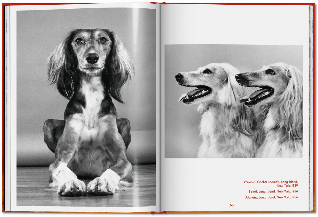 Walter Chandoha. Dogs. Photographs 1941–1991