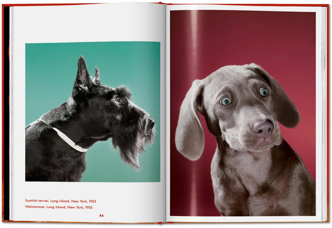 Walter Chandoha. Dogs. Photographs 1941–1991