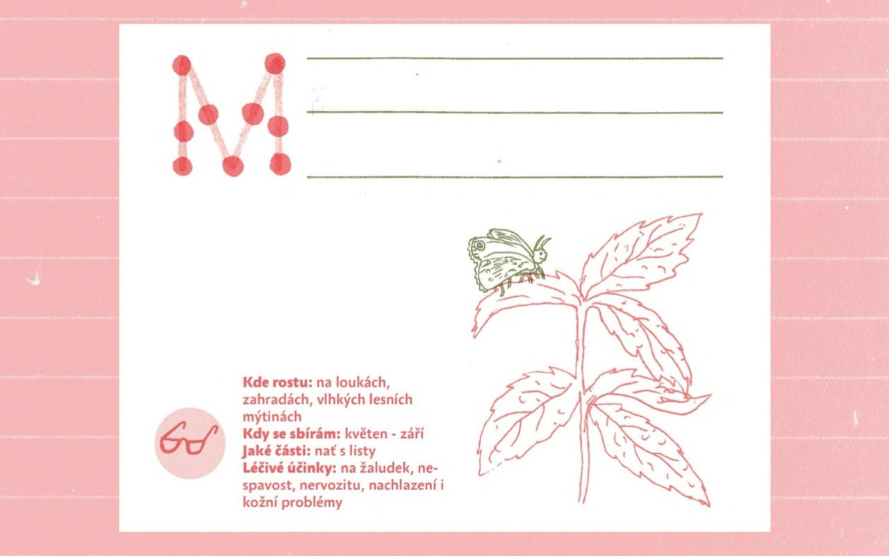 Bylinopis