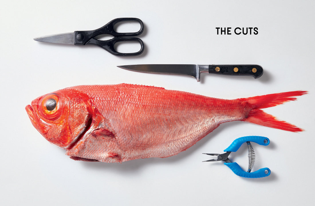 Fish Butchery: Mastering The Catch, Cut And Craft - Josh Niland