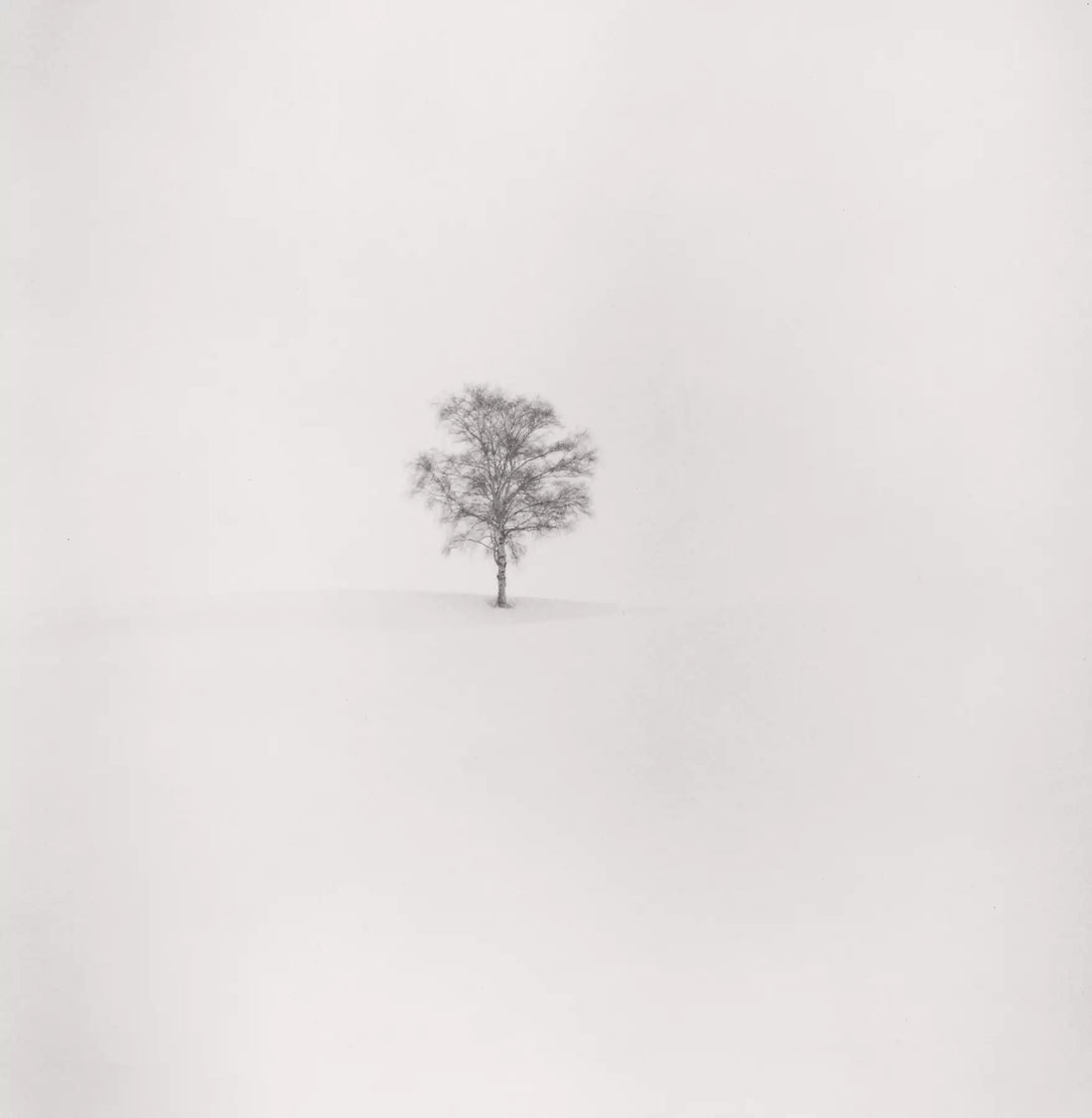 Michael Kenna: Constellation
