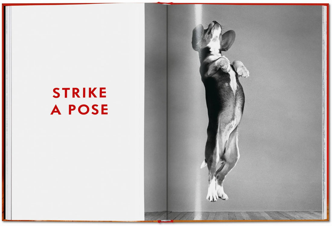 Walter Chandoha. Dogs. Photographs 1941–1991