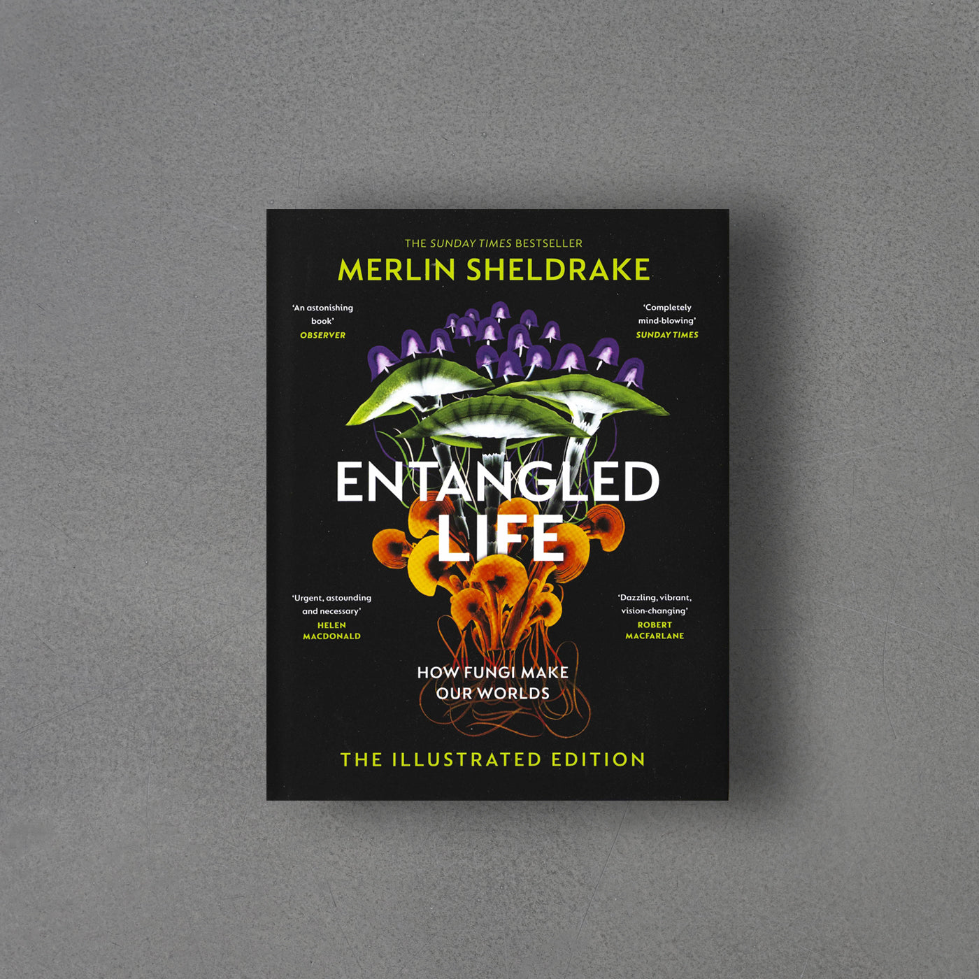 Sheldrake Reading Entangled Life With Merlin Sheldrake | Merlin Sheldrake – CMQUEC