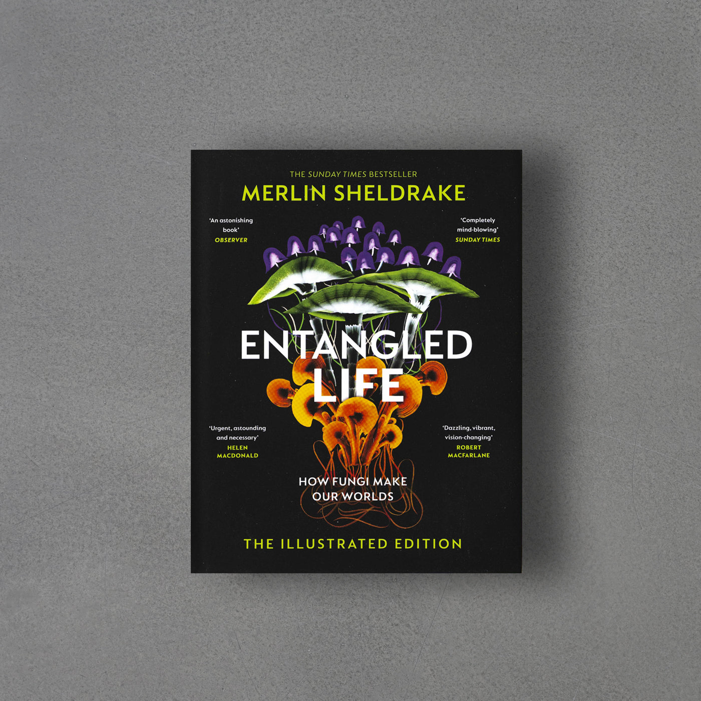 Entangled Life - Merlin Sheldrake (The Illustrated Edition)