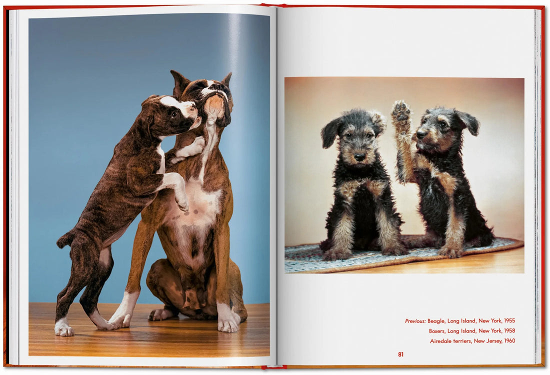 Walter Chandoha. Dogs. Photographs 1941–1991