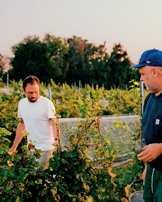 Spilled: Natural Wine