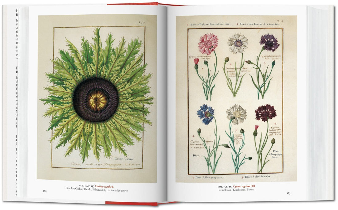 A Garden Eden. Masterpieces of Botanical Illustration. 40th Anniversary Edition