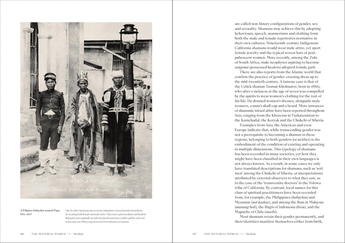 Shamans: The visual culture of animism, healing and journeys to other planes