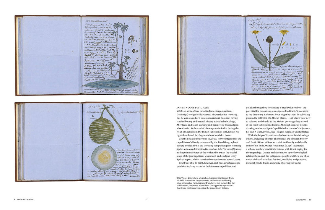 Botanical Sketchbooks