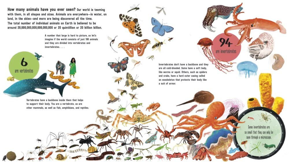 If the World Were 100 Animals – Miranda Smith, Il. Aaron Cushley