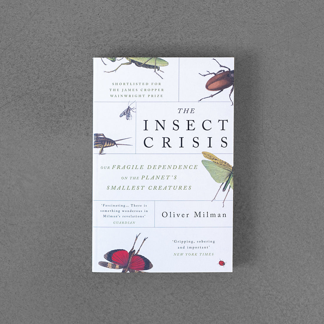 The Insect Crisis