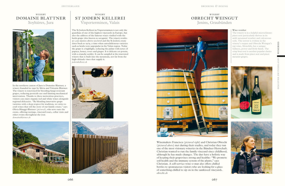 Switzerland: The Monocle Handbook