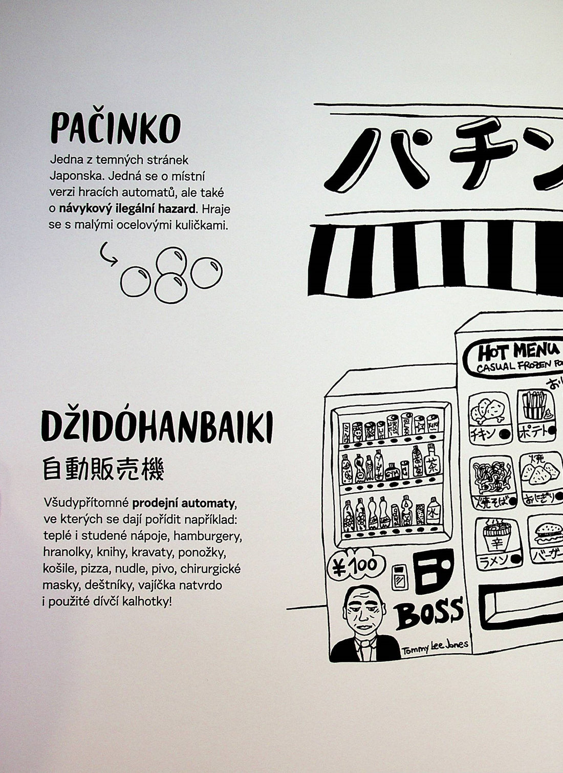 Pikunikku: Japonský piknik