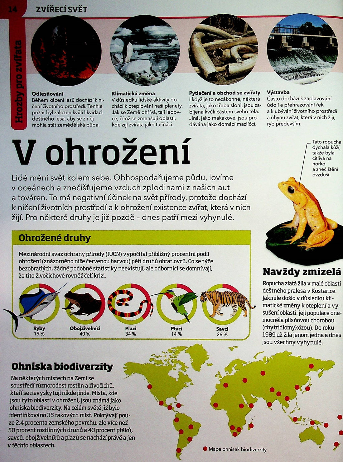 Génius v říši zvířat