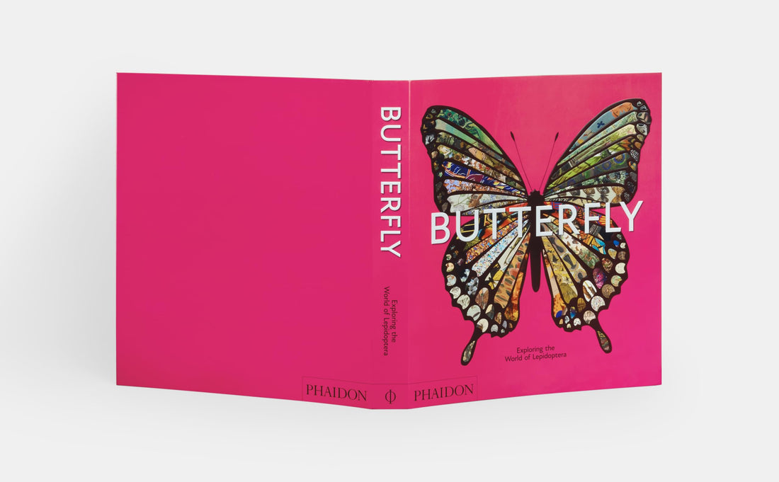 Butterfly: Exploring the World of Lepidoptera