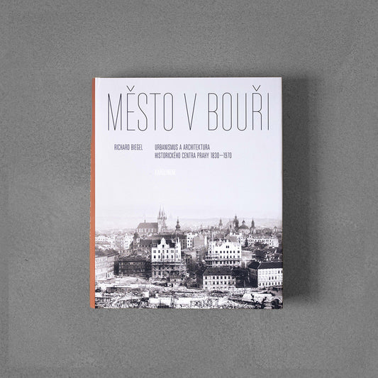 Město v bouři - Richard Biegel