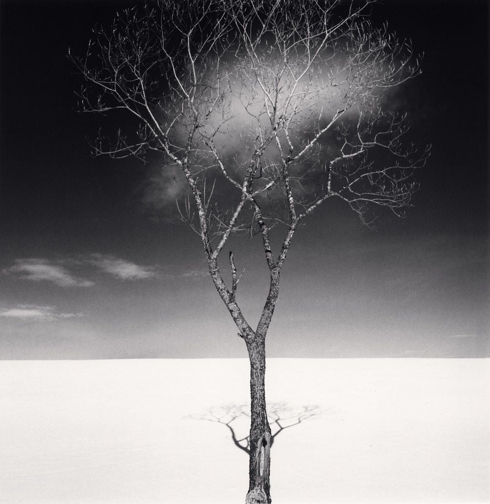 Michael Kenna: Constellation