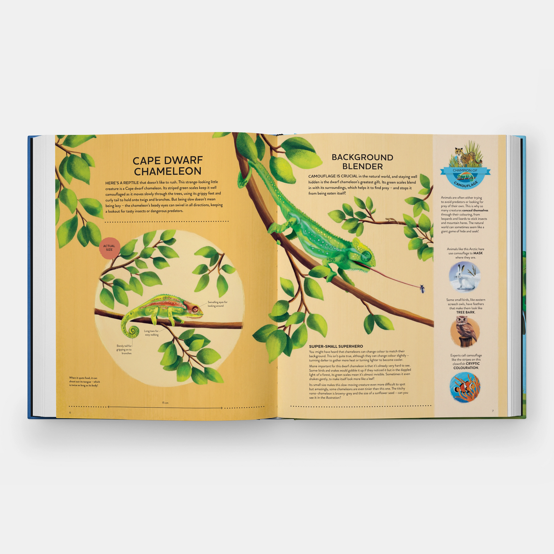 Nature's Tiny Champions: The Big Book of Little Creatures Doing Mighty Things
