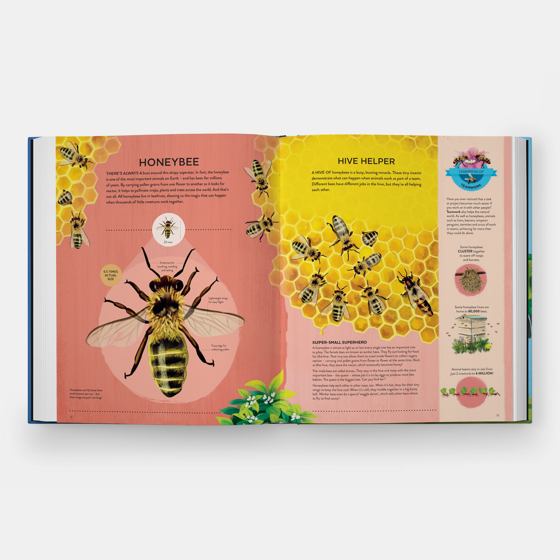 Nature's Tiny Champions: The Big Book of Little Creatures Doing Mighty Things