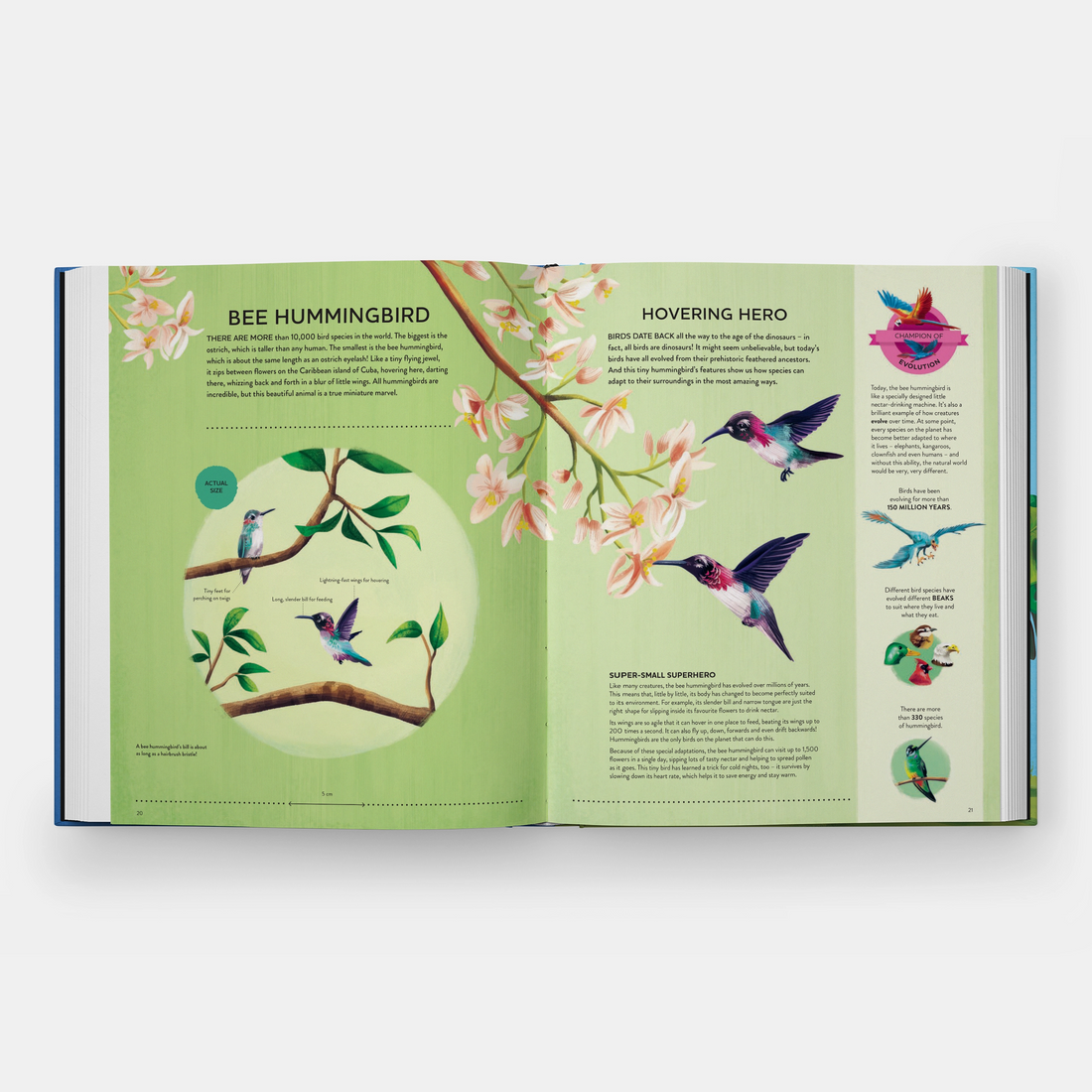 Nature's Tiny Champions: The Big Book of Little Creatures Doing Mighty Things