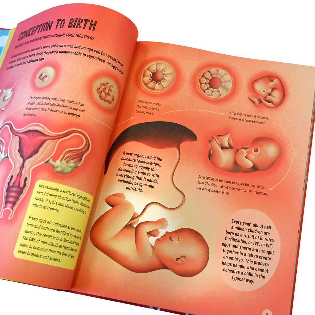 Really Short Journey Through the Body