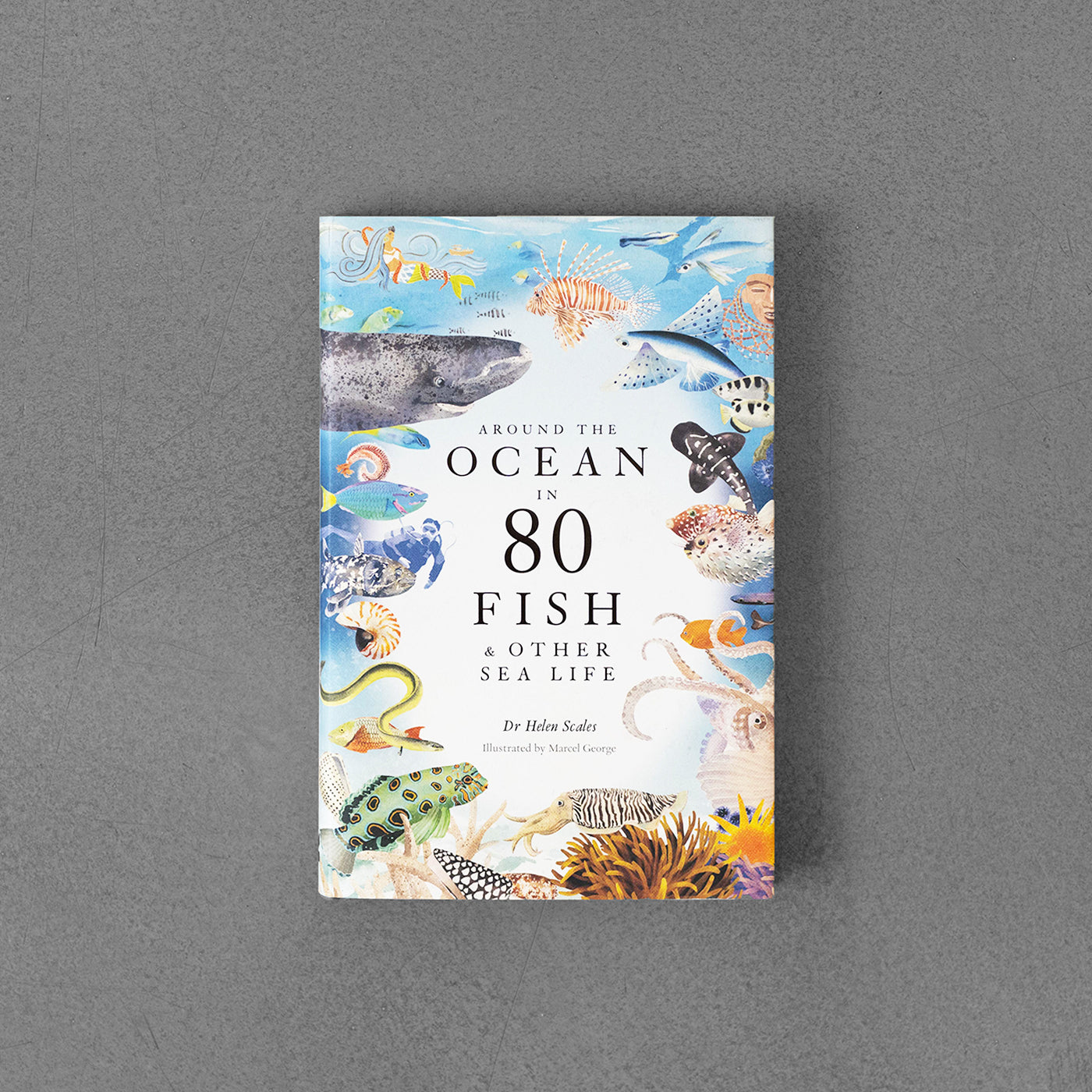 Around the Ocean in 80 Fish and Other Sea Life