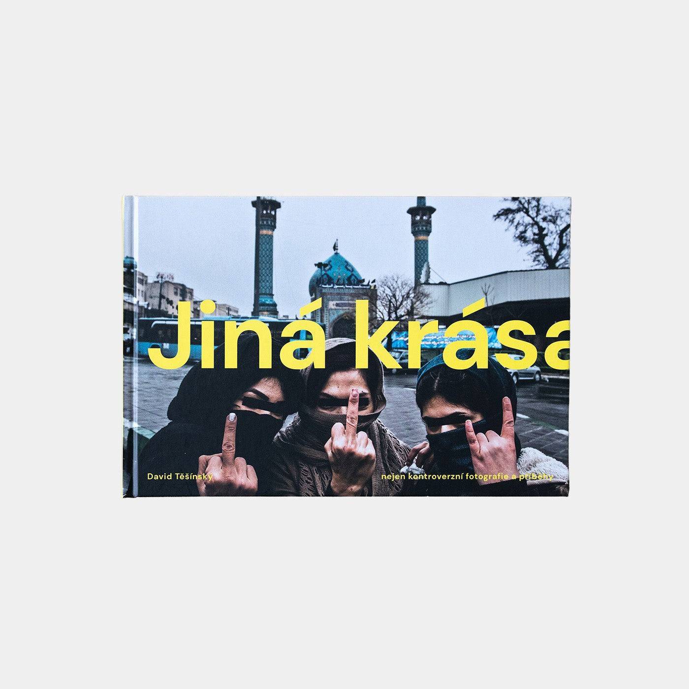 Jiná krása - David Těšínský