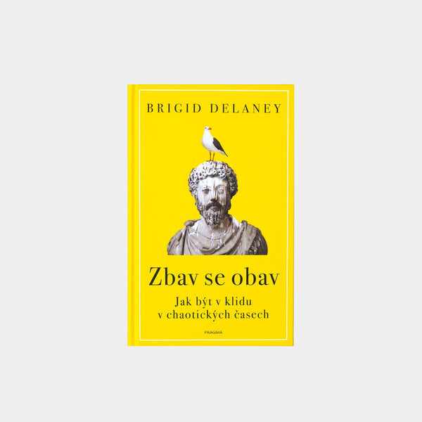Zbav se obav - Brigid Delaney