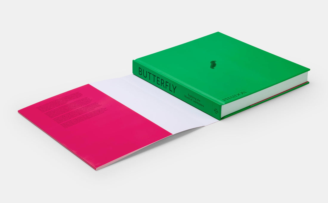 Butterfly: Exploring the World of Lepidoptera