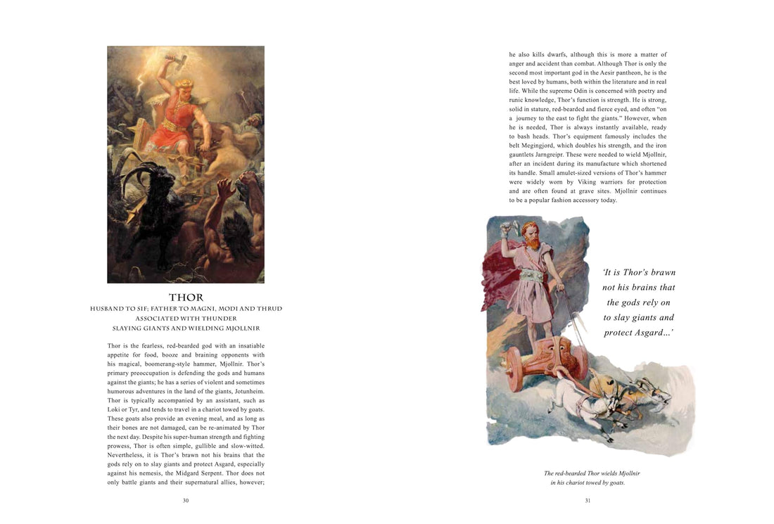 Norse Gods & Myths Illustrated