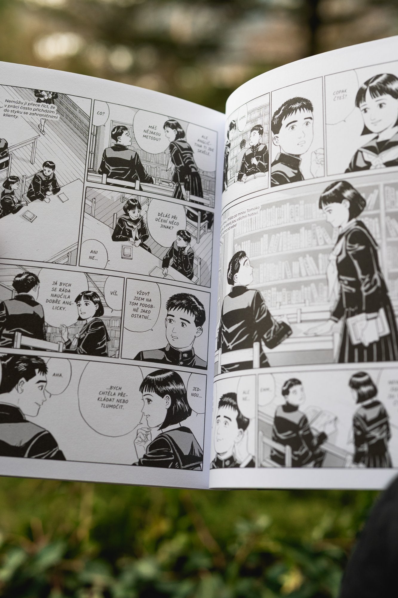 Vzdálené sousedství - Džiró Taniguči