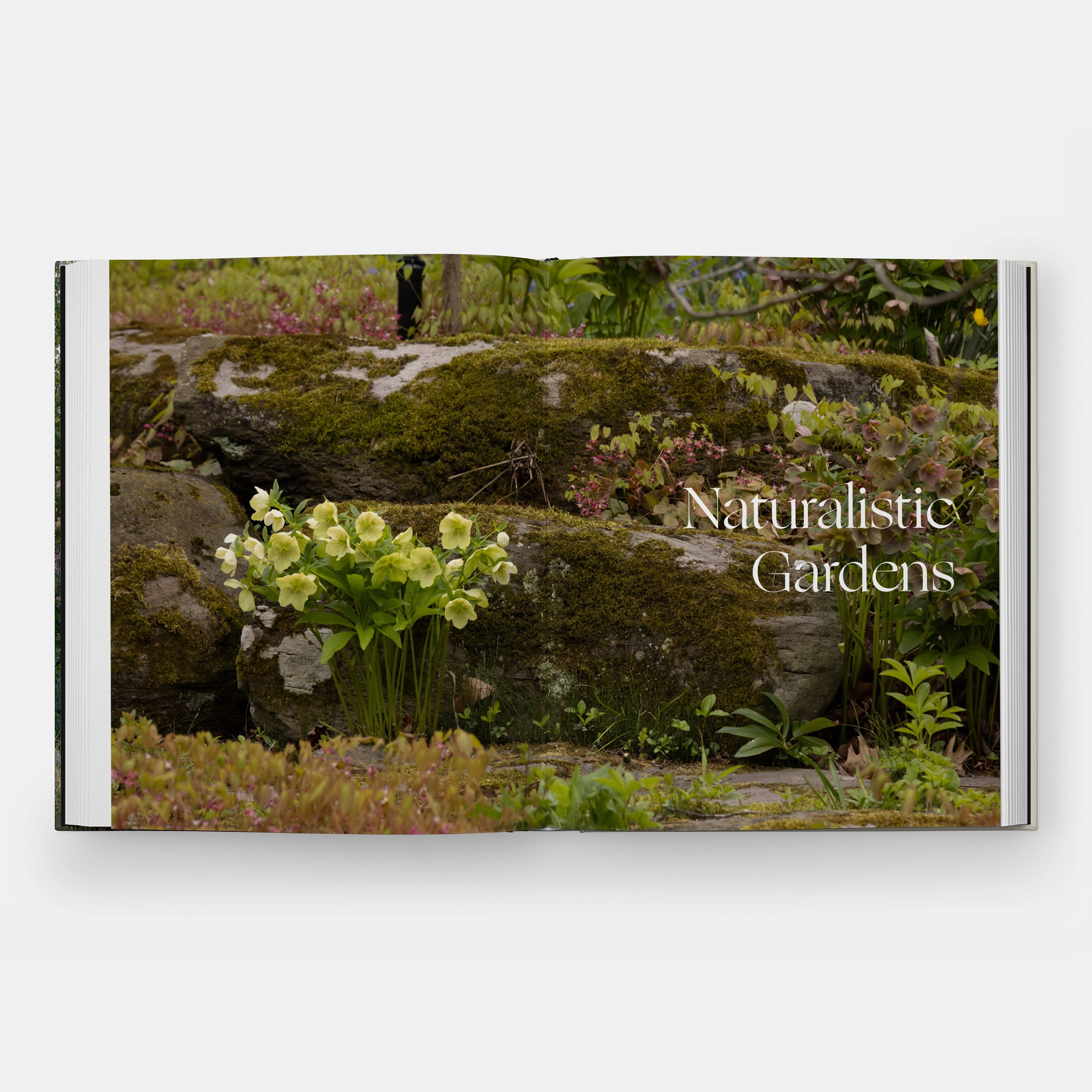 the-art-of-fine-gardening-ae-3691-3d-spread-4-3000.webp?v=1747231739\u0026width=1100