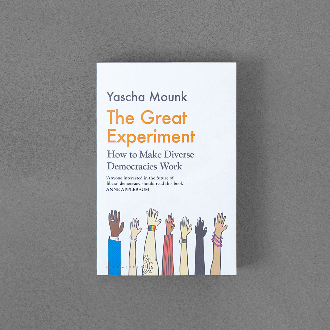 The Great Experiment: How to Make Diverse Democracies Work
