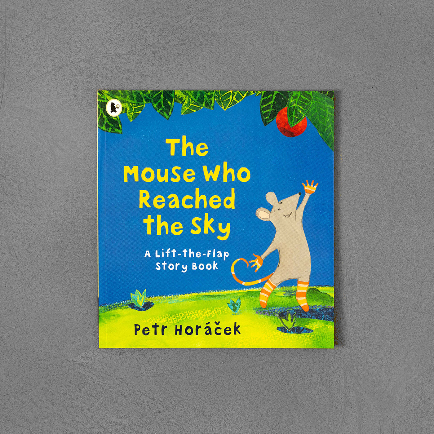 Mouse who Reached the Sky - Petr Horáček