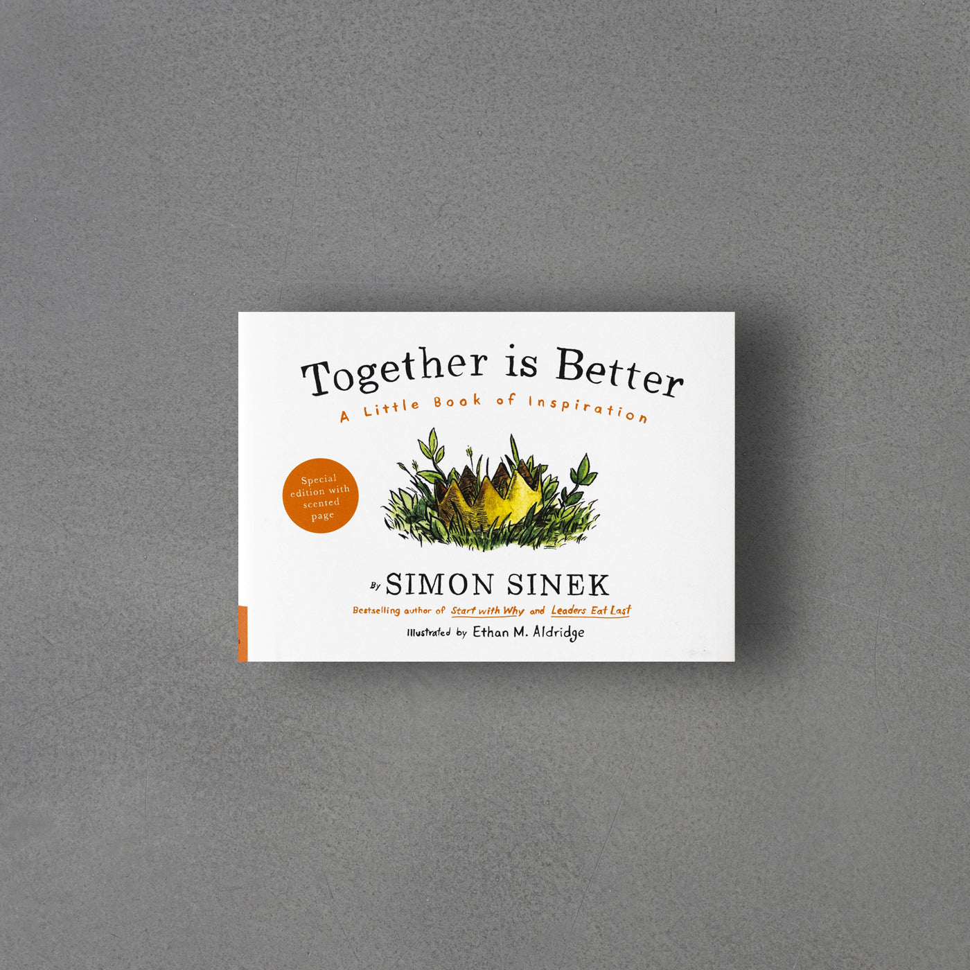 Together is Better : A Little Book of Inspiration, Simon Sinek