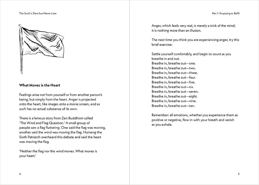 Snail is Slow but Never Late: Meditations on Finding Joy in the Present Moment