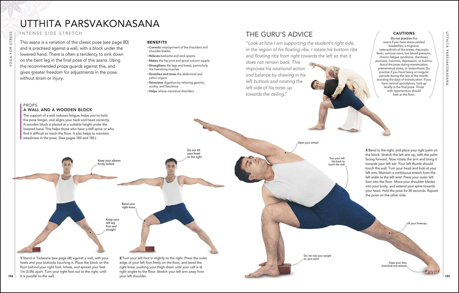 Iyengar Yoga Explained Simply | International Society of Precision  Agriculture