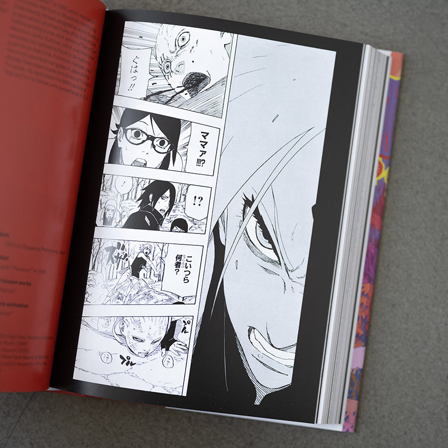 100 Manga Artists