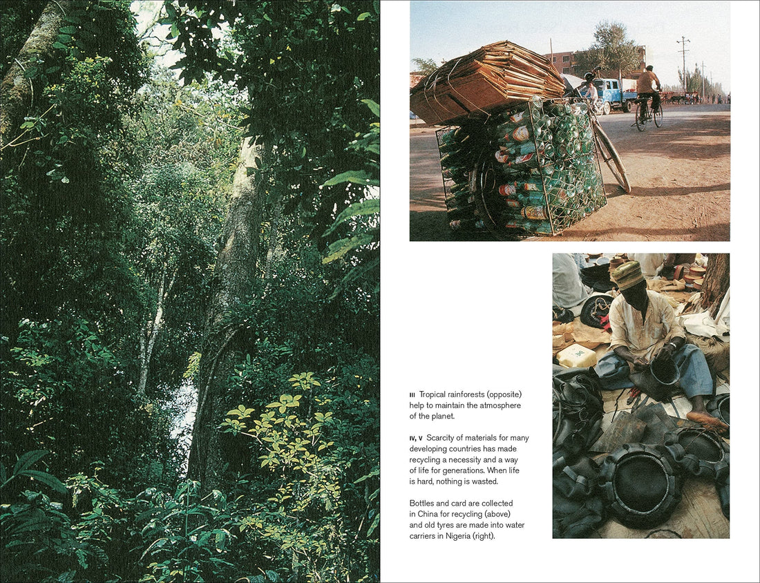 Green Imperative : Ecology and Ethics in Design and Architecture