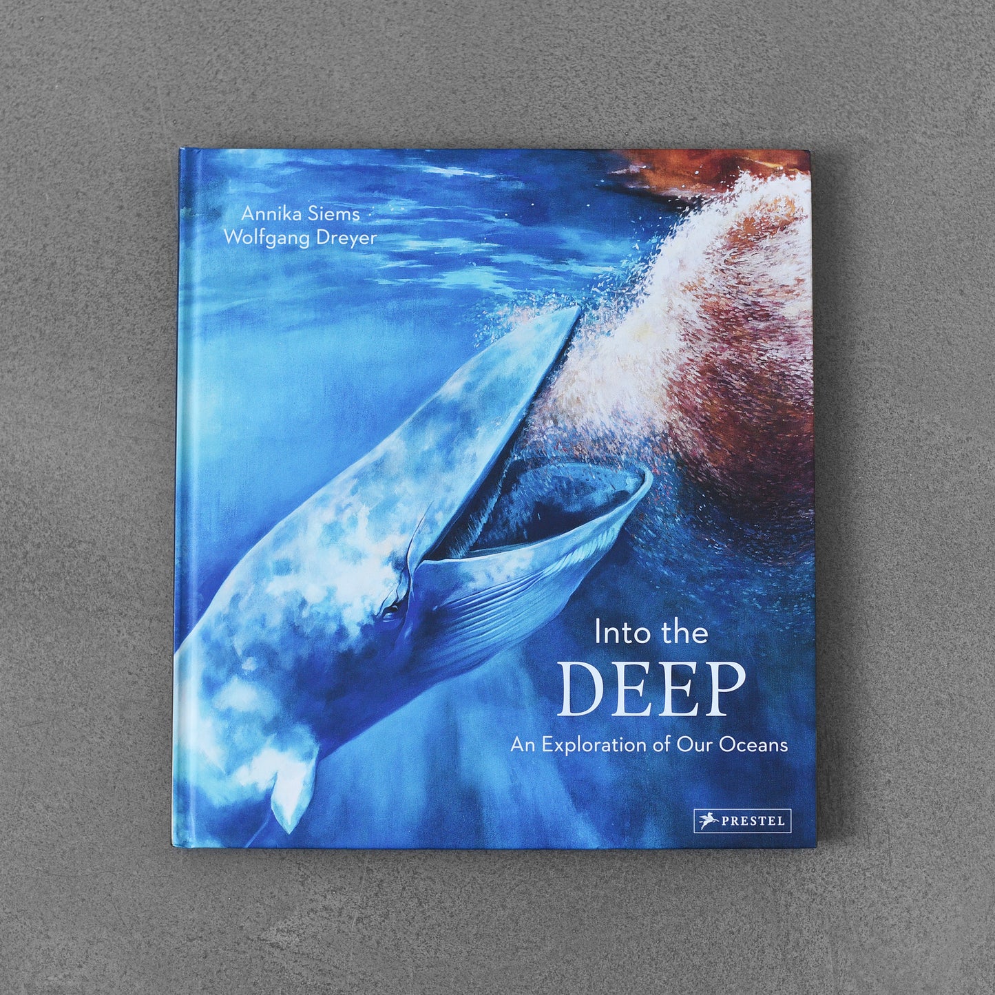 Into the Deep: An Exploration of Our Oceans