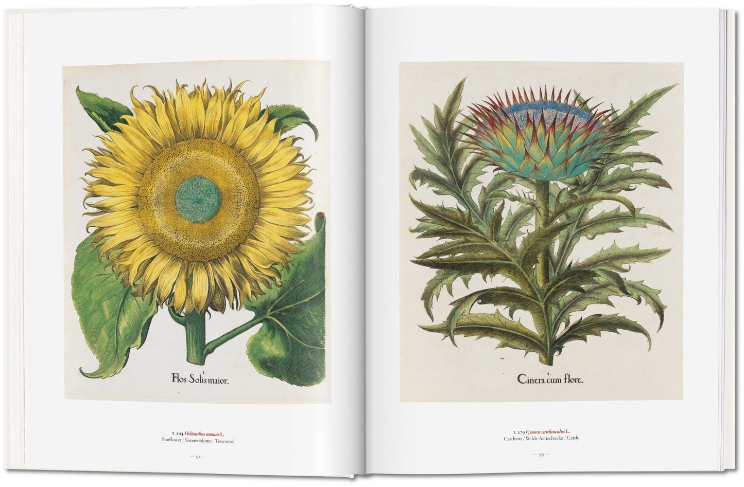 Garden Eden - Masterpieces of Botanical Illustration