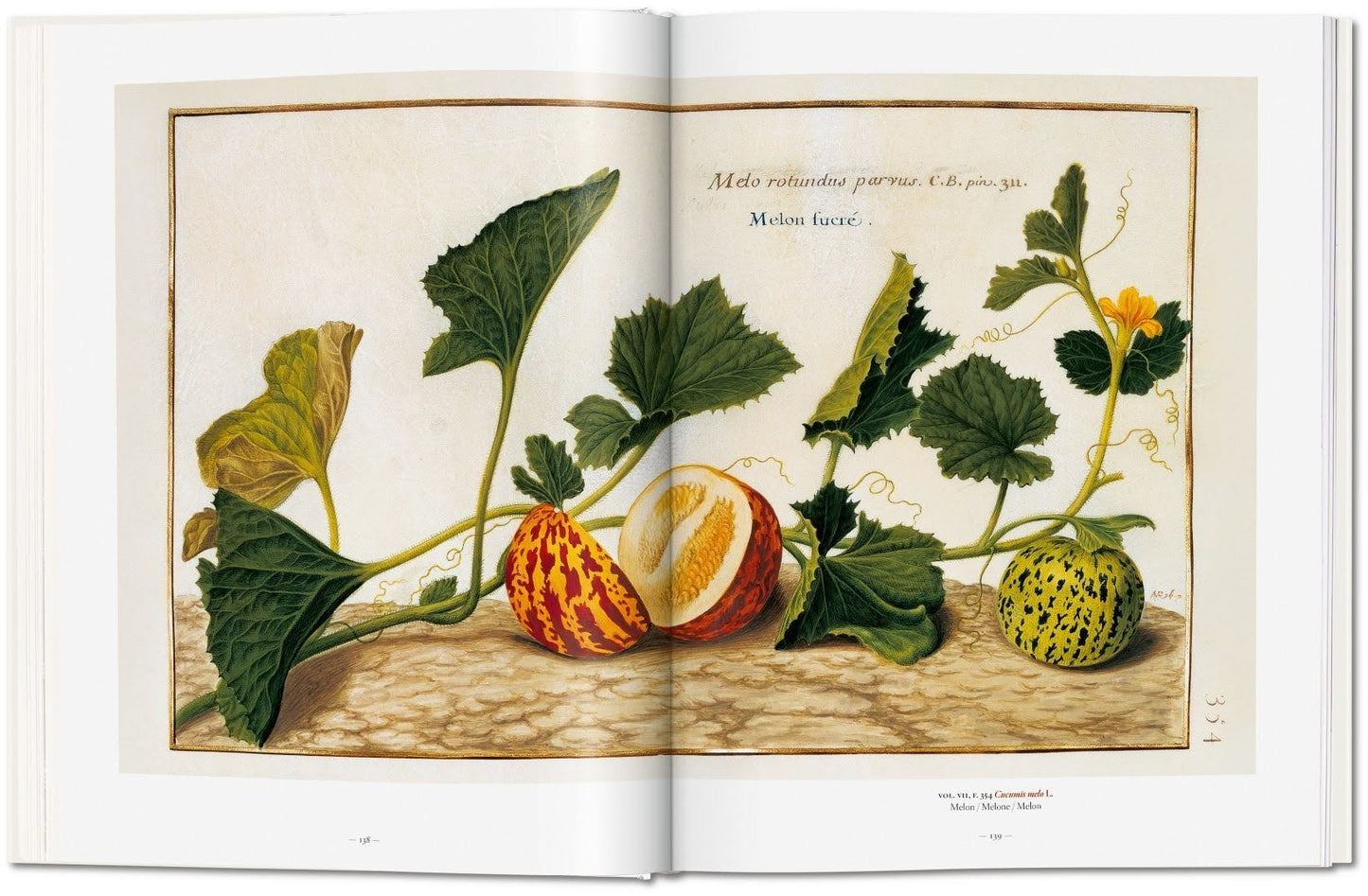 Garden Eden - Masterpieces of Botanical Illustration