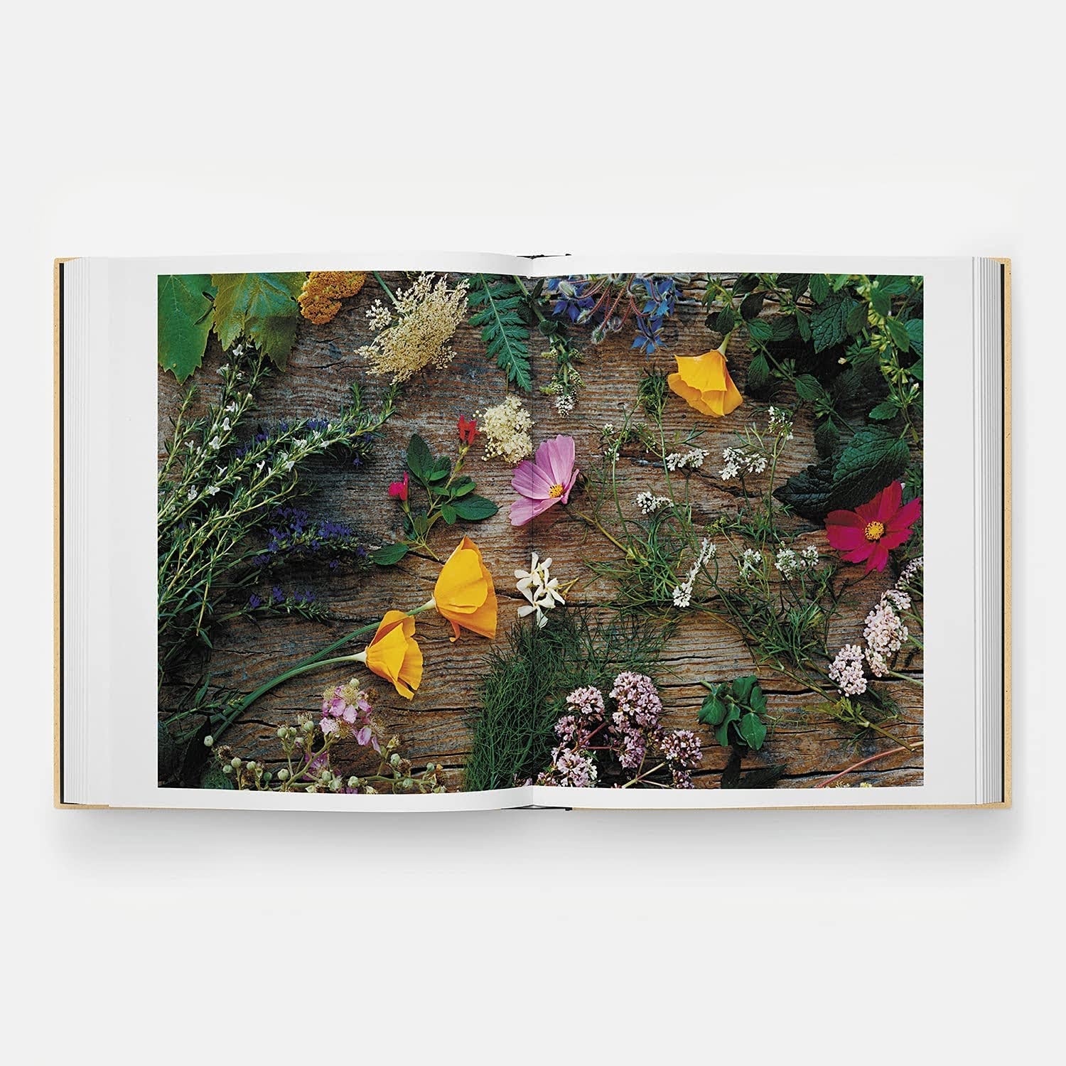 Septime, La Cave, Clamato, D'une île: Bertrand Grébaut and Théophile Pourriat, with Benoit Cohen