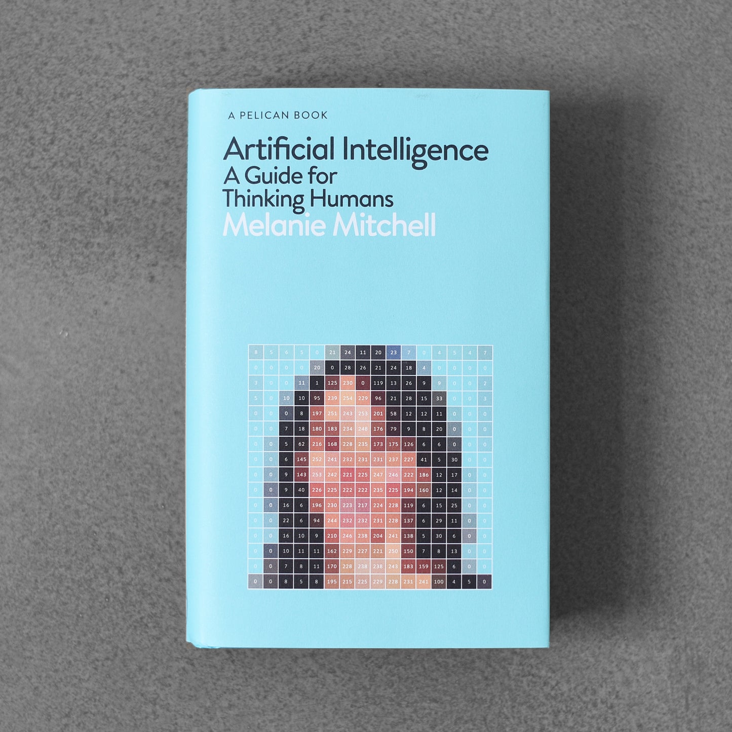 Artificial Intelligence, A Guide for Thinking Humans