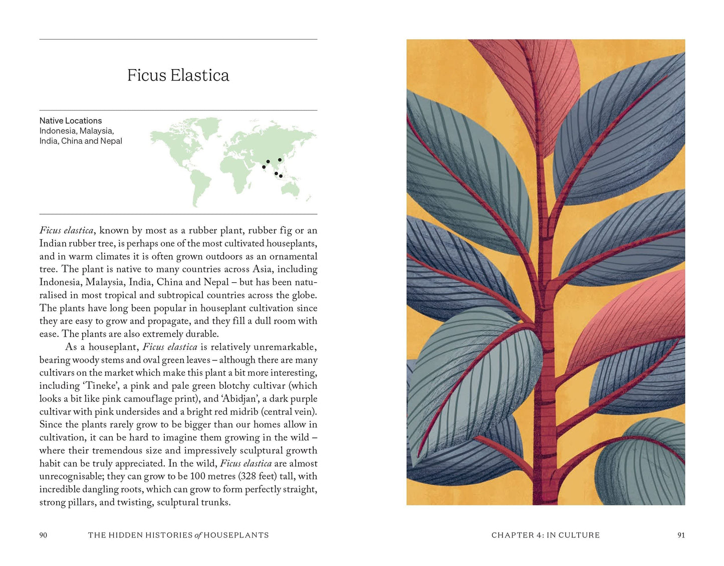 Hidden Histories of Houseplants: Fascinating Stories of Our Most-Loved Houseplants