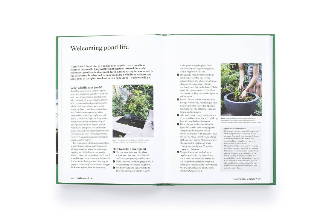 Greener Life: Discover the Joy of Mindful and Sustainable Gardening