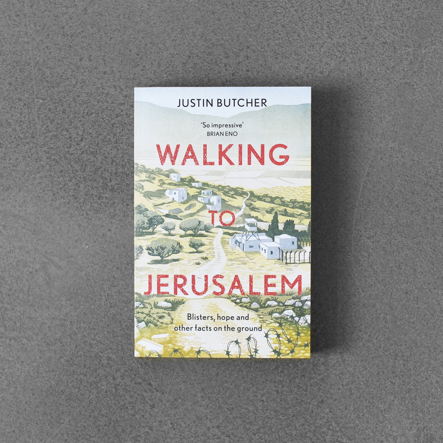 Walking to Jerusalem: Blisters, Hope and Other Facts on the Ground - Justin Butcher