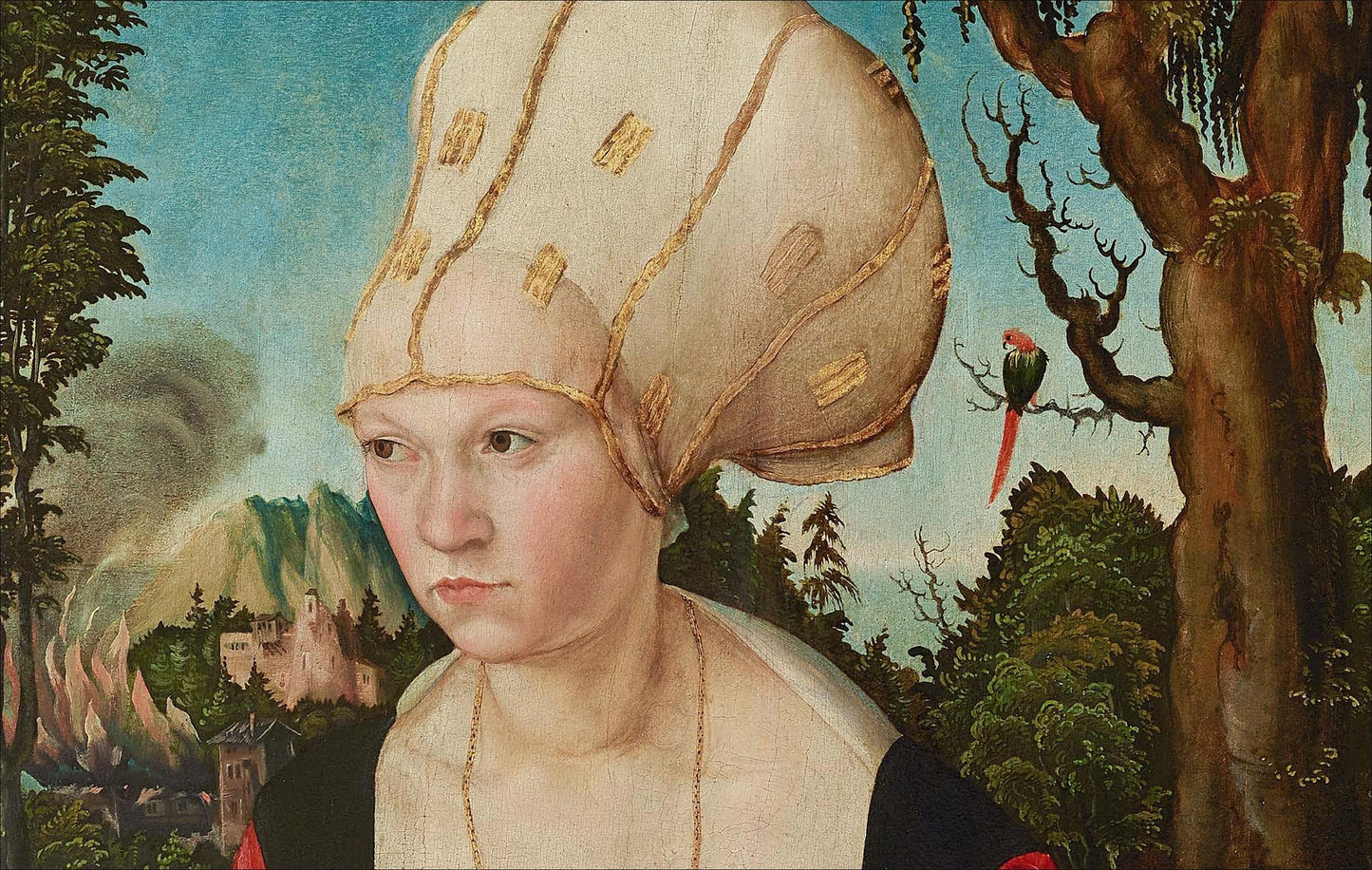 Cranach: The Early Years in Vienna